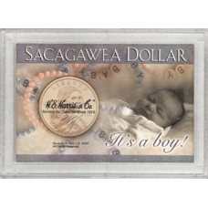 Frosty Case - 1 Hole - Sacagawea - It's a Boy!