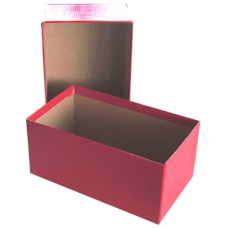 Guardhouse - Currency Box - Modern Size