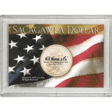 Frosty Case - 1 Hole - Sacagawea - Flag
