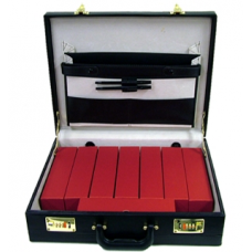 Brief Case - Large