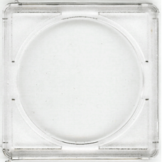 Whitman - Silver Eagle Snaplock - ASE - 25ct Pack